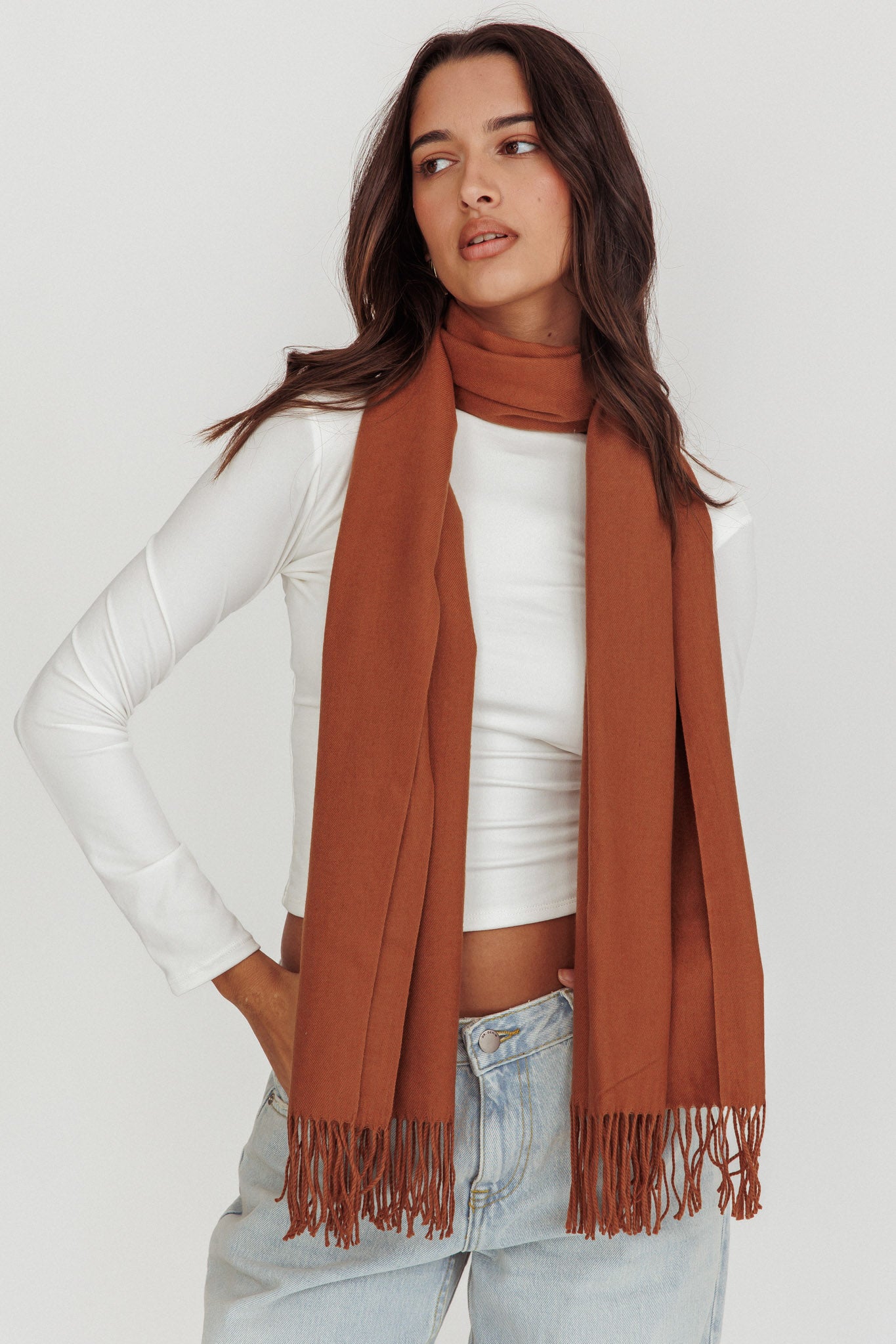 Diona Cashmere and Wool Fringed Scarf Brown by Selfie Leslie