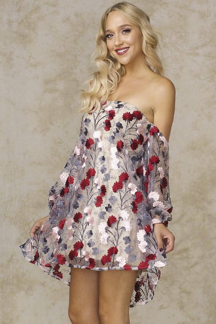 Jessica Strapless Sheer Embroidered Dress by Selfie Leslie