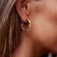 Millie Twisted Hoop Earrings Gold