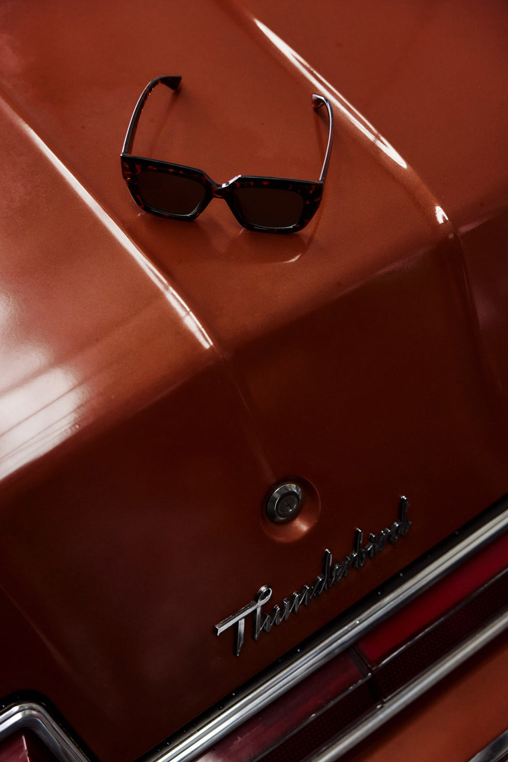 Cate Oversized Sunglasses Tortoiseshell Brown by Selfie Leslie