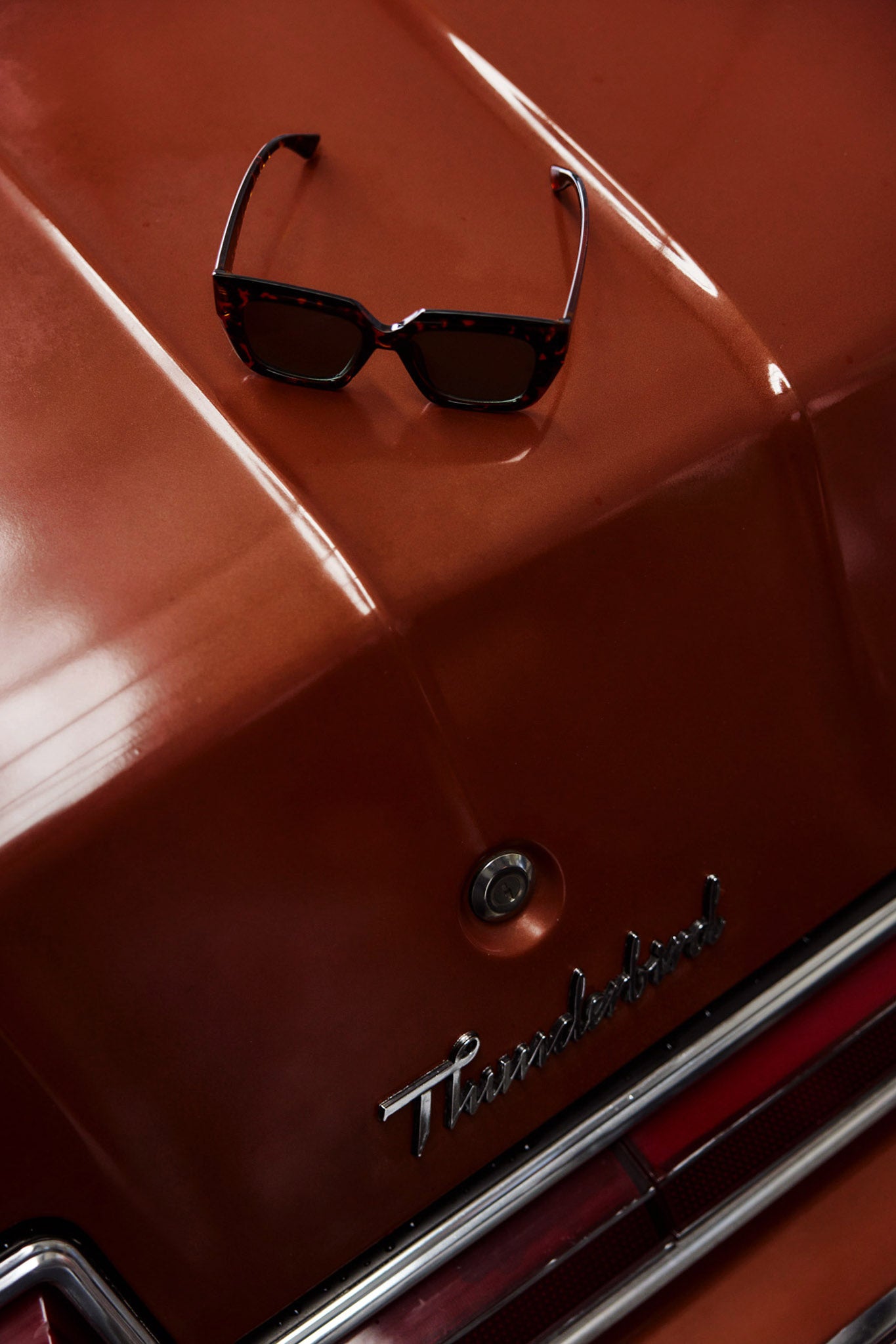 Cate Oversized Sunglasses Tortoiseshell Brown by Selfie Leslie