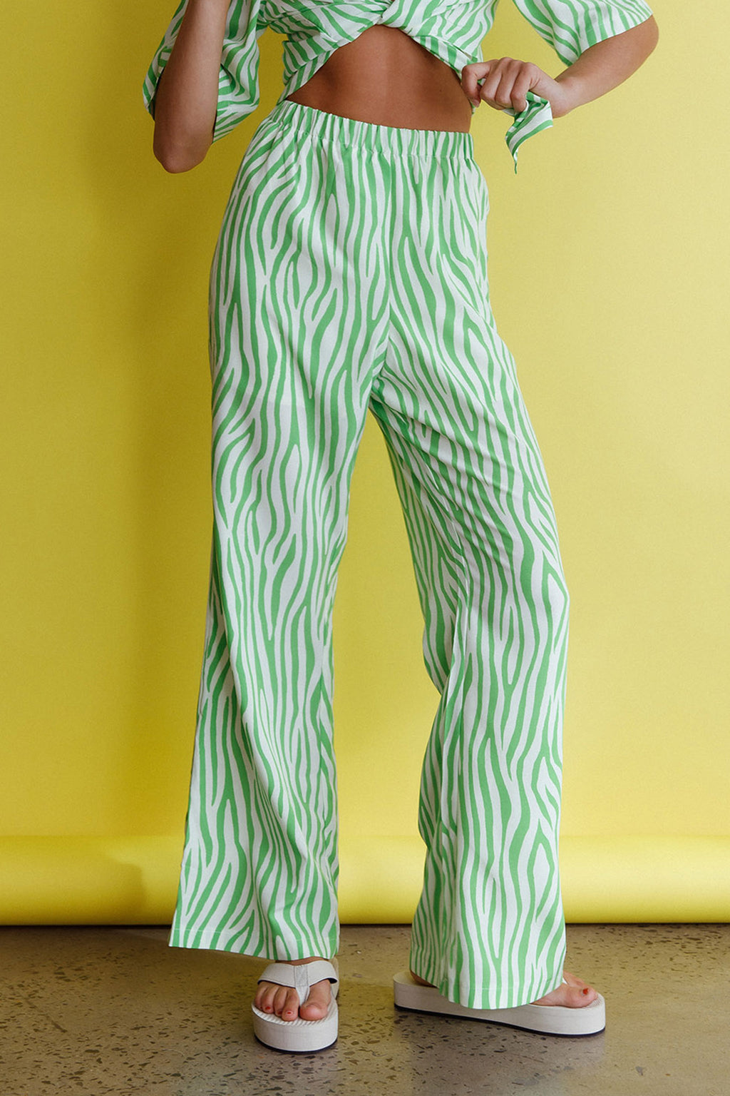 Just A Hunch Pants Zebra Green by Selfie Leslie
